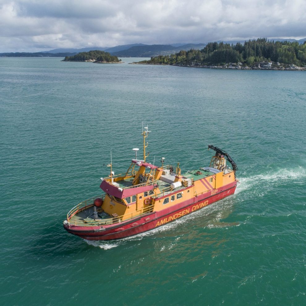 Gult og rødt fartøy